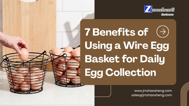 7 beneficios de usar una canasta de huevos de alambre para la recolección diaria de huevos